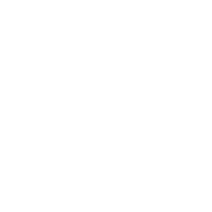 Logo Disc Golf Arena Breuna
